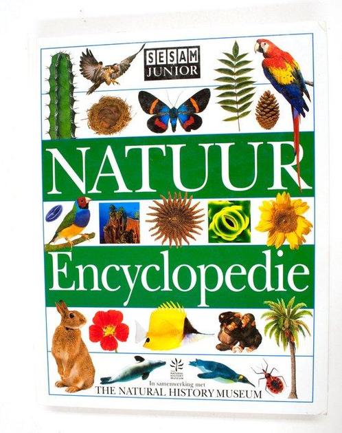 Natuurencyclopedie 9789026114410 Sesam Junior, Boeken, Kinderboeken | Jeugd | 13 jaar en ouder, Gelezen, Verzenden