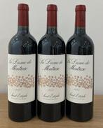 2021 La Dame de Montrose, 2nd wine of Chateau Montrose -, Nieuw