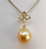 Hanger 11x12mm Deep Golden South Sea Pearl Drop - 14 kt.