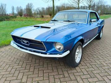 Ford - Mustang Hardtop Coupe V8 C Code - 1967 beschikbaar voor biedingen