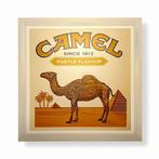 Camel - Lichtreclame bord van Camel - Lichtbord - Plastic,