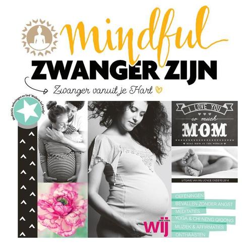 Mindful zwanger zijn 9789082250817 Anna van Amsterdam, Boeken, Zwangerschap en Opvoeding, Gelezen, Verzenden
