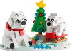 LEGO - Wintertime Polar Bears - 40571, Nieuw, Ophalen of Verzenden, Lego