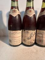 1973 Joseph Drouhin x 2 Half bottles Gevrey-Chambertin 1974, Verzamelen, Wijnen, Nieuw