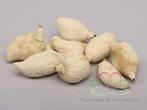Baobab noten Light ca. 500 gram, Huis en Inrichting, Ophalen of Verzenden, Nieuw