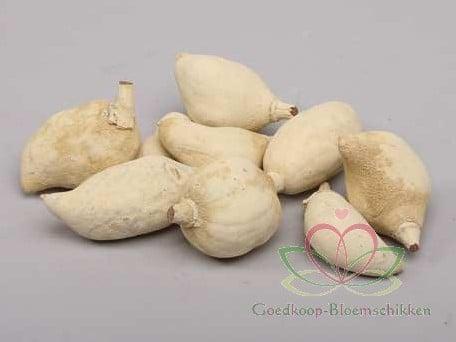 Baobab noten Light ca. 500 gram, Huis en Inrichting, Woonaccessoires | Kunstplanten en Kunstbloemen, Nieuw, Ophalen of Verzenden