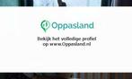 Lilian zoekt een oppas in Siddeburen voor 3 kinderen., Vacatures, Vacatures | Overige Vacatures