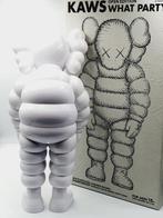 Kaws (1974) - Kaws What Party White 2020