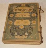 [Unknown] - Early 20th-century herbarium - 1915-1920, Antiek en Kunst, Antiek | Boeken en Bijbels
