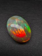 Zonder Minimumprijs Meerkleurig, Bruin Opaal - 17.75 ct -, Sieraden, Tassen en Uiterlijk, Edelstenen, Nieuw