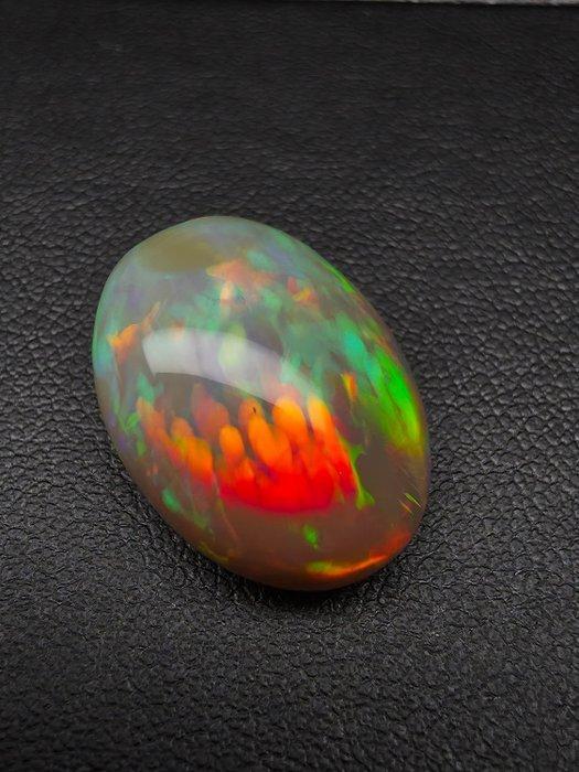 Zonder Minimumprijs Meerkleurig, Bruin Opaal - 17.75 ct -, Sieraden, Tassen en Uiterlijk, Edelstenen