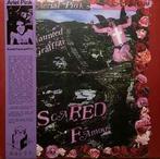 lp nieuw - Ariel Pinks Haunted Graffiti - Scared Famous/..., Verzenden, Zo goed als nieuw