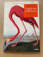 De Gekleurde Vogelprenten van Audubon - NIEUW, Boeken, Ophalen of Verzenden, Zo goed als nieuw, Schilder- en Tekenkunst