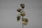 Magnolia kort foam Taupe/Creme Magnolia, Huis en Inrichting, Woonaccessoires | Kunstplanten en Kunstbloemen, Ophalen of Verzenden