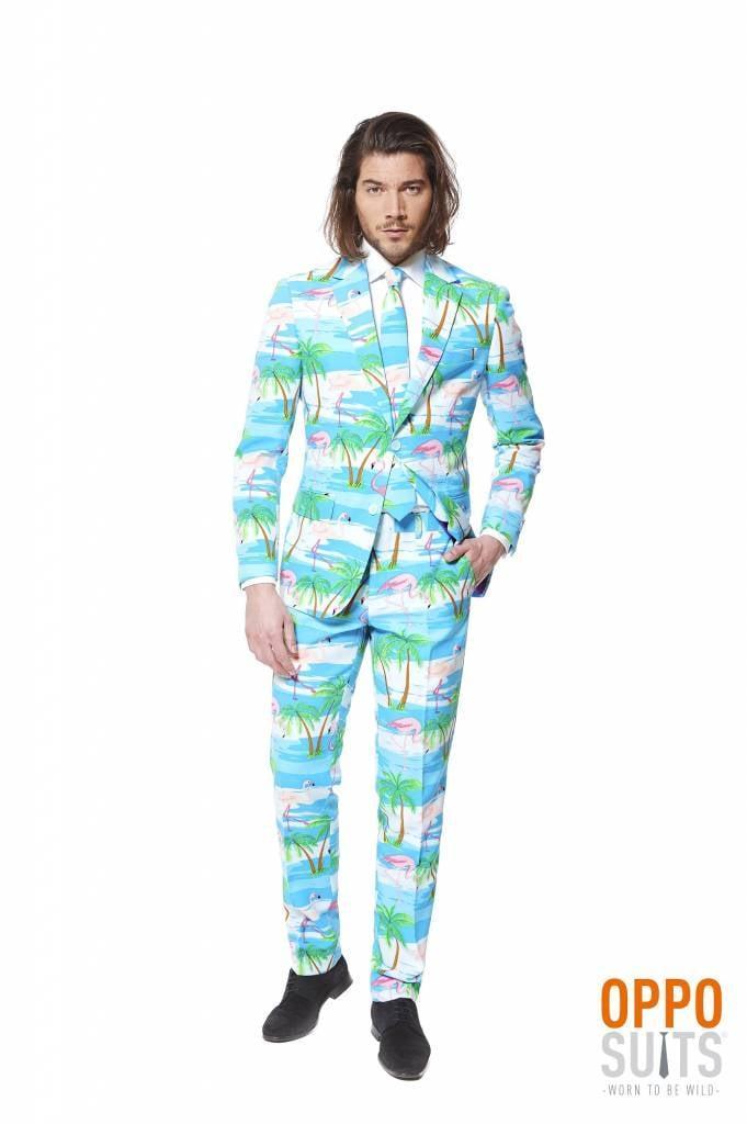 Maatpak Flamingo Hawaii, Kleding | Heren, Carnavalskleding en Feestkleding, Nieuw, Ophalen of Verzenden