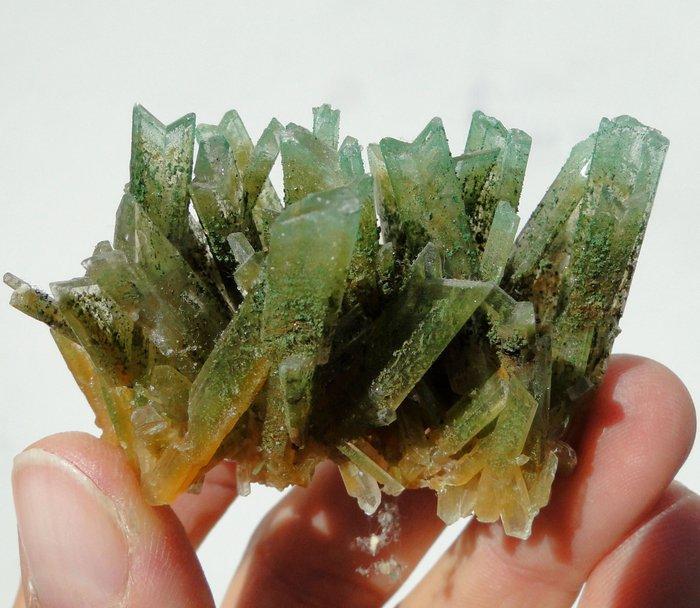 Seleniet - Groen Gras GYPSUM met Atacamite, Herbertsmithite, Verzamelen, Mineralen en Fossielen