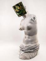 Salvatore Alibrio - Screens Venus PEZZO UNICO