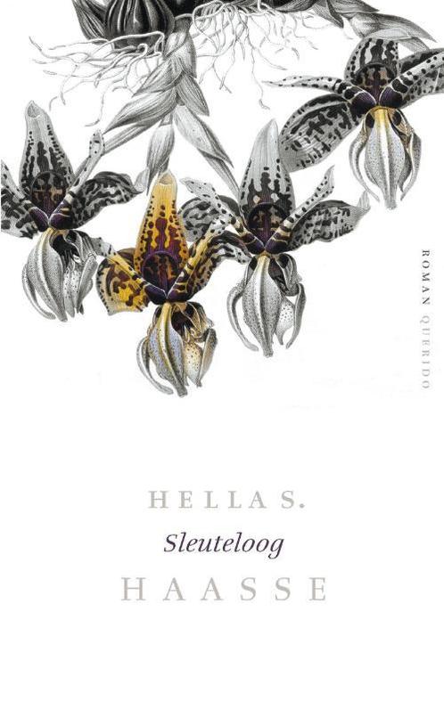 Sleuteloog 9789021439495 Hella S. Haasse, Boeken, Romans, Zo goed als nieuw, Verzenden