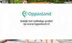 Danique zoekt een oppas in Heeswijk-Dinther voor 2 kinderen.
