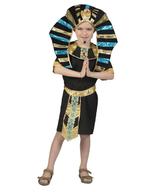 Egyptische Farao kostuum kind, Ophalen of Verzenden, Nieuw