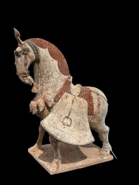 Oud-Chinees Terracotta Wei-dynastie paard - TL getest. - 30, Verzamelen, Mineralen en Fossielen