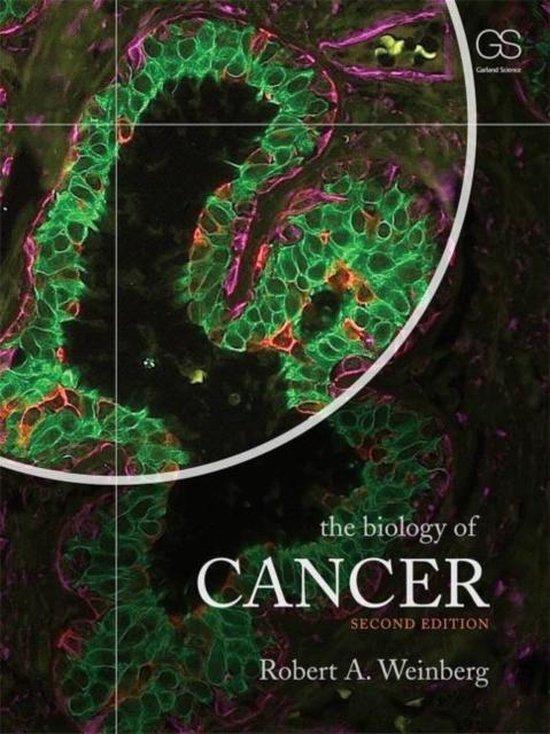 Biology Of Cancer 9780815345282 Robert A. Weinberg, Boeken, Taal | Engels, Gelezen, Verzenden
