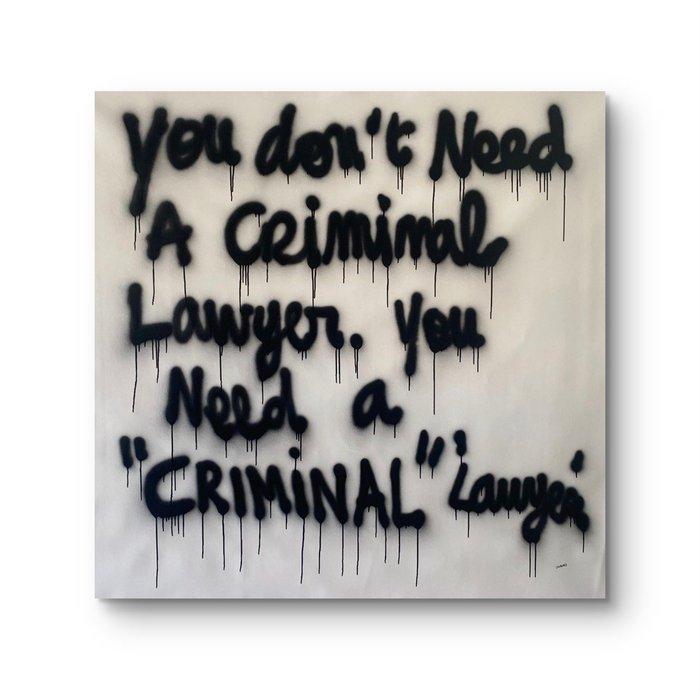 JOHANNE8 (1974) - You don’t need a criminal lawyer, you need, Antiek en Kunst, Kunst | Schilderijen | Modern