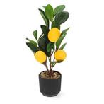 Kunstplant Citroenboom | Decoris | 27 cm (In pot), Huis en Inrichting, Woonaccessoires | Kunstplanten en Kunstbloemen, Verzenden