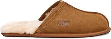 UGG - Maat 44 - Scuff Heren Sloffen beschikbaar voor biedingen