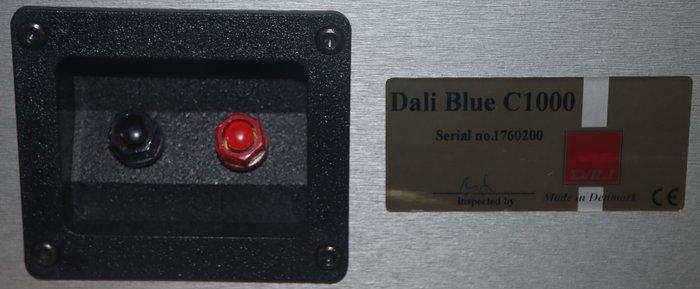 Dali - Concept 6, 3003 en C1000 Luidsprekerset - Diverse, Audio, Tv en Foto, Radio's