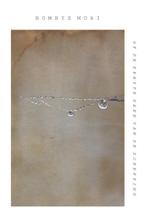 Bombyx mori 9789083181387 Dietske Geerlings, Verzenden, Zo goed als nieuw, Dietske Geerlings