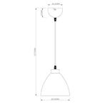 LED Hanglamp - Trion Dolina - E27 Fitting - 1-lichts - Rond, Ophalen of Verzenden, Nieuw, Metaal