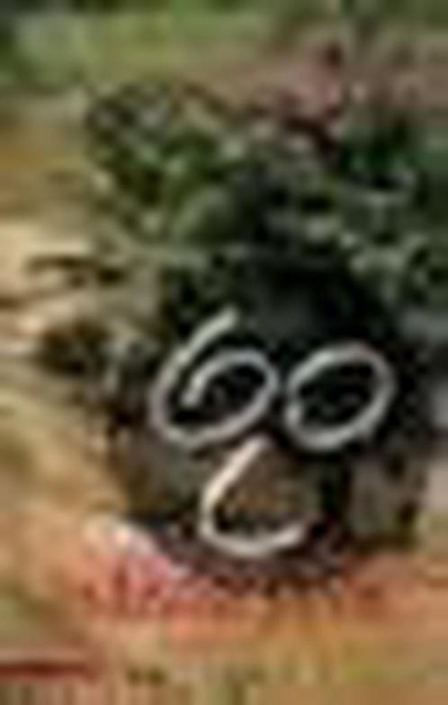 INDISCHE JAREN 9789045004549 A. Zikken, Boeken, Romans, Gelezen, Verzenden