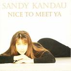 cd - Sandy Kandau - Nice To Meet Ya, Verzenden, Zo goed als nieuw