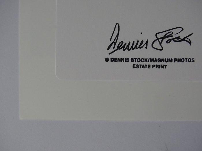 Dennis Stock (1928-2010) - Audrey Hepburn. Long Island,, Antiek en Kunst, Kunst | Designobjecten