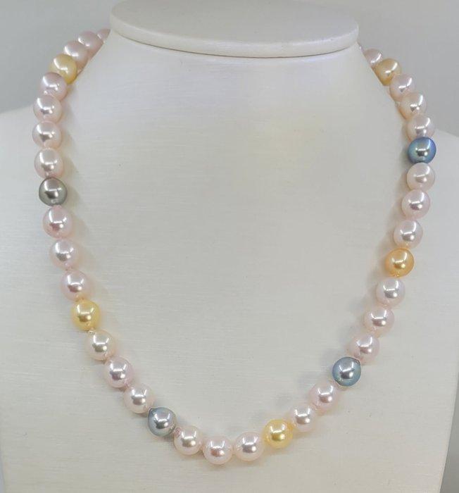 Halsketting 8,5x9 mm Multi Akoya- en gouden parels, Zilver, Sieraden, Tassen en Uiterlijk, Kettingen