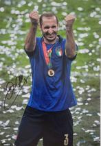 Italia - Juventus - Voetbal Europees kampioenschap - Giorgio, Nieuw