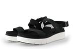 Timberland sandalen in maat 41½ Zwart | 25% korting, Kleding | Dames, Schoenen, Verzenden, Zwart, Sandalen of Muiltjes, Zo goed als nieuw