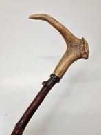 Wandelstok - Hout
