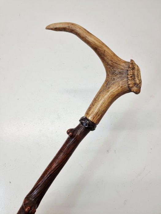 Wandelstok - Hout, Antiek en Kunst, Antiek | Overige Antiek