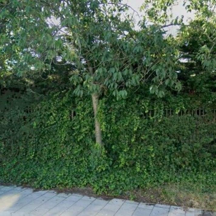 Woning te huur in Zwijndrecht - 1 m² - 1 kamer(s), Huizen en Kamers, Huizen te huur, Zuid-Holland, Overige soorten