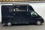 Peugeot Boxer Flex Horsetruck, Verzenden, Gebruikt