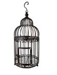 Large Victorian style iron bird cage | Home Decoration |