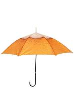 Paraplu Bier Print, Verzenden, Nieuw