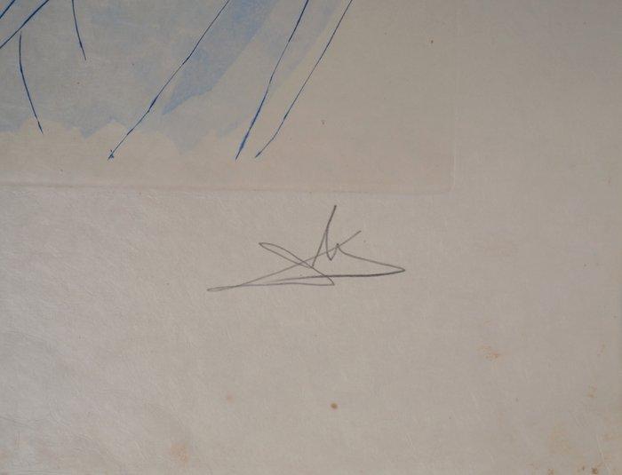 Salvador Dali (1904-1989) - Roi biblique, Antiek en Kunst, Antiek | Overige Antiek
