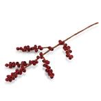 Vilt - Tak met Besjes - Ilex Hulst - Rood - 50cm - Fairtrade, Ophalen of Verzenden, Nieuw