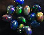 Ct. 7.00 Natuurlijke Ethiopische Zwarte Opalen - Cabochon -