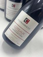 Clerambault Coteaux Champenois - Champagne - 6 Fles (0,75, Nieuw