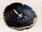 Tafel - grote plak - Fossiel Hout. - geschikt voor, Nieuw