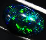 Geachte afgevaardigden. 3.35 Natuurlijke Ethiopische zwarte, Verzamelen, Mineralen en Fossielen